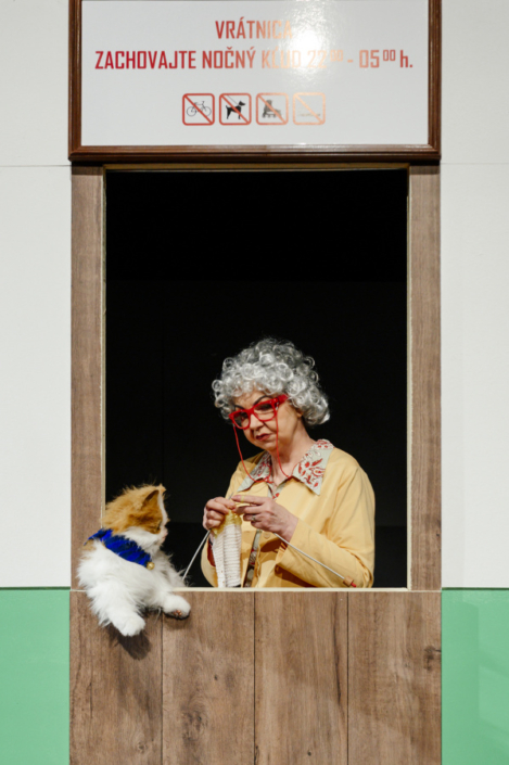 Tomáš Dianiška: ATÓMOVÉ MAČA